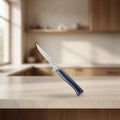 Couteau Intempora n°222 – Opinel